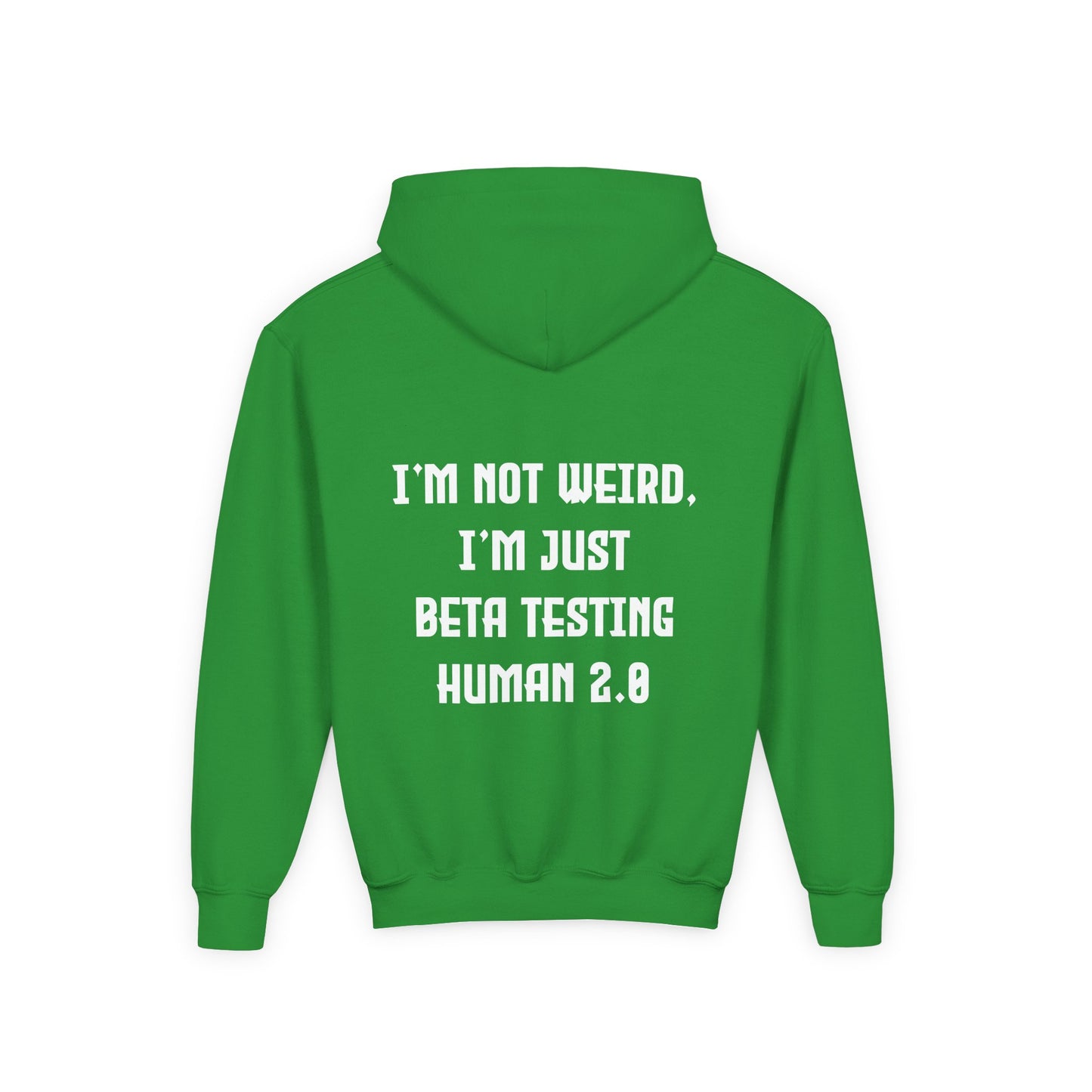 I'm Just Beta Testing Human 2.0 (Kids Hoodie)