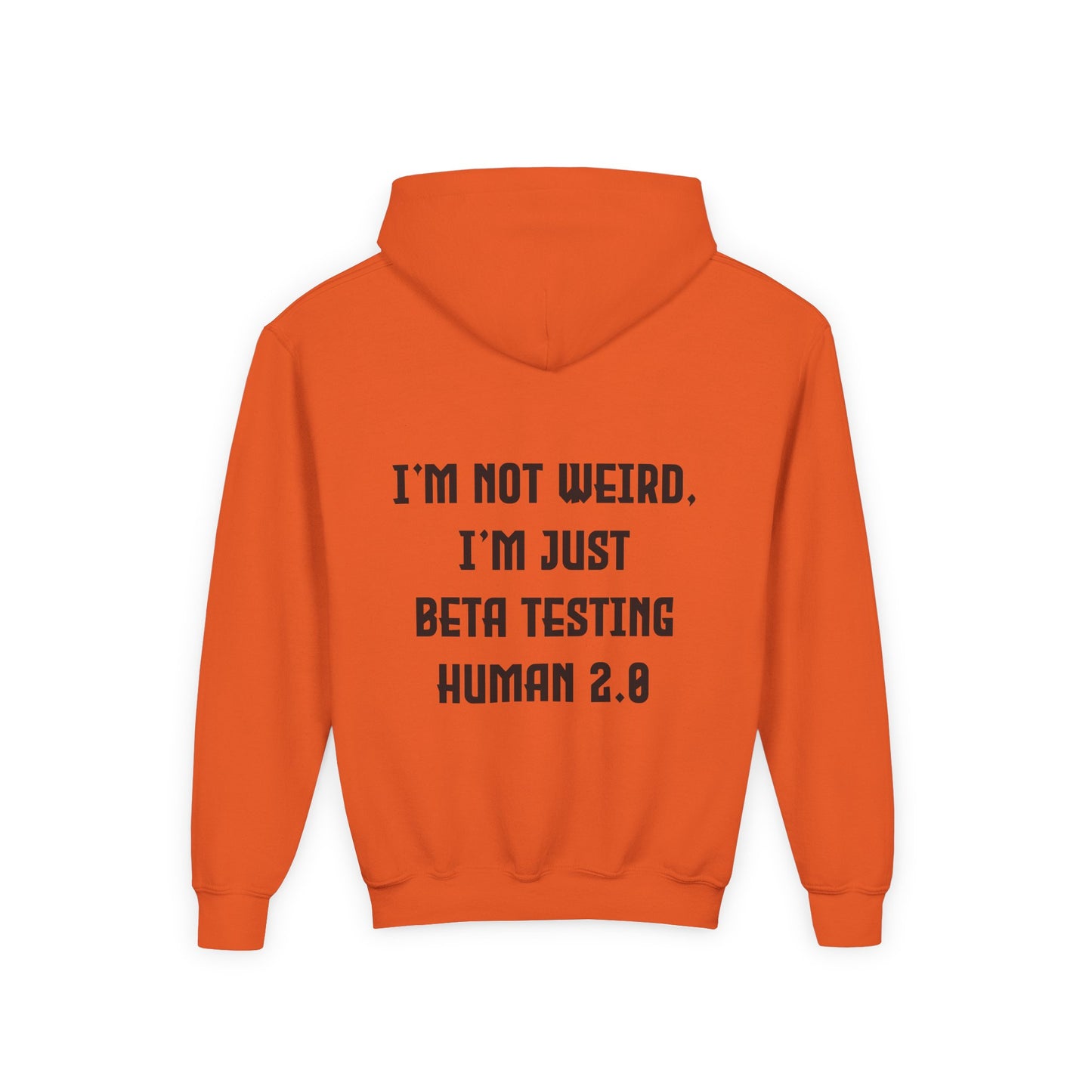 I'm Just Beta Testing Human 2.0 (Kids Hoodie)