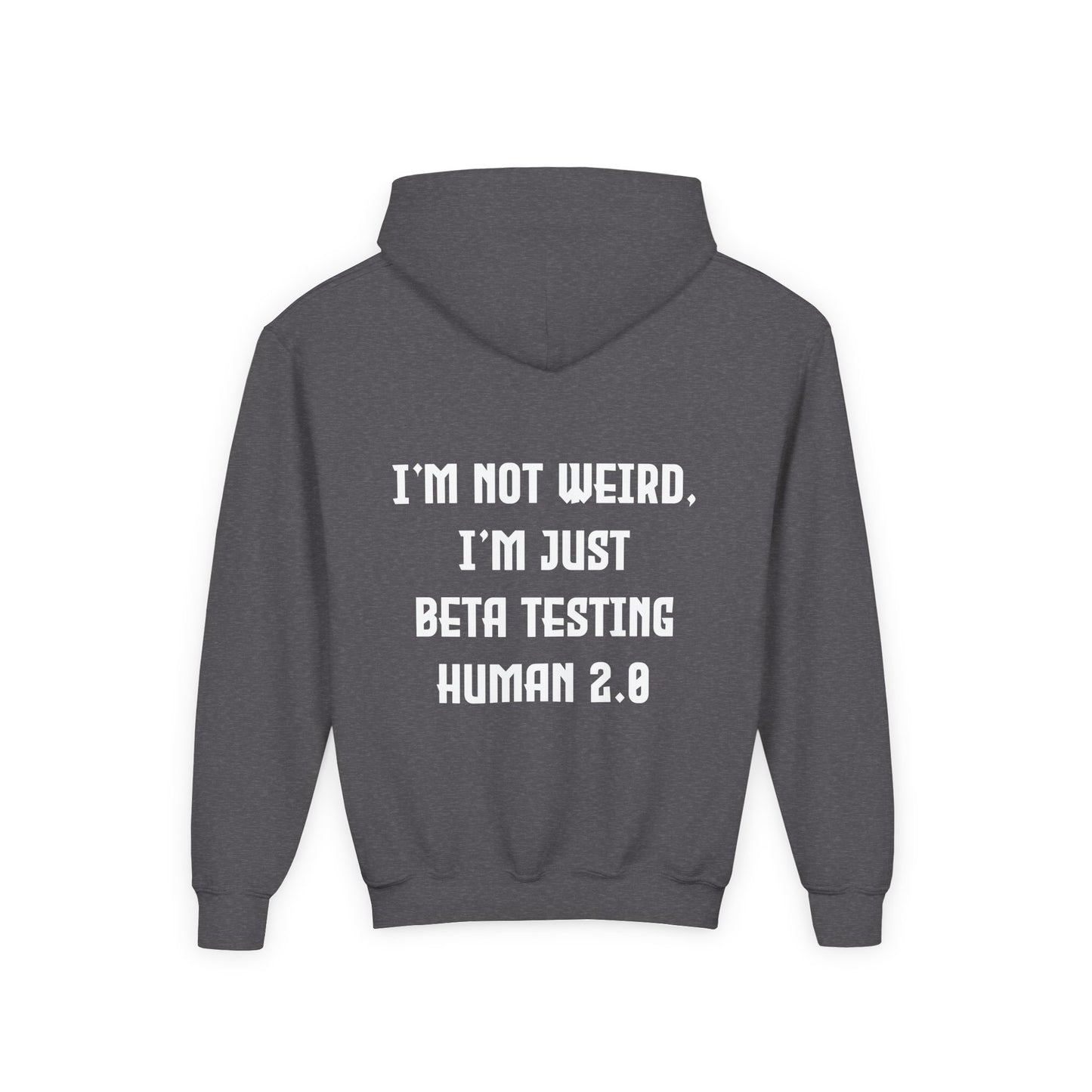 I'm Just Beta Testing Human 2.0 (Kids Hoodie)